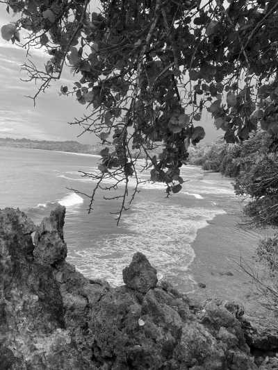 Costa Rica - Cocles - Caribbean Delights: A Journey through Costa Rica - 3