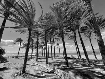 Spain - Puente Colgante de Jolúcar - Discover Andalucia: Lust auf SUP, Tauchen und Wandern in einer ☀️ CoLiving Villa am Meer 🏝️? - 2