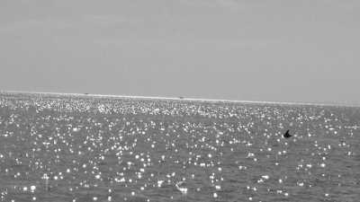 Griechenland - Piperi - Segeltörn durch die nördliche Ägäis, Griechenland - Baden, gutes Essen und mehr! - 3