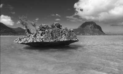 Mauritius - Tamarin - Women's only Trip in Mauritius with the Focus on Healing The Inner Child