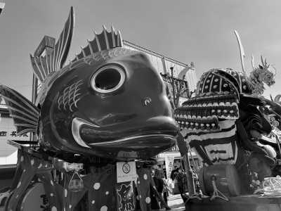 Japan - Karatsu Shrine - Experience Karatsu Kunchi Floats Festival and Autumn Cosmos Flowers Overlooking the Ocean in Japan - 1