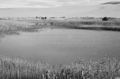 Ägypten - Siwa Oasis - Explore Egypt with a Local! Visit Siwa Oasis and Cairo - 4