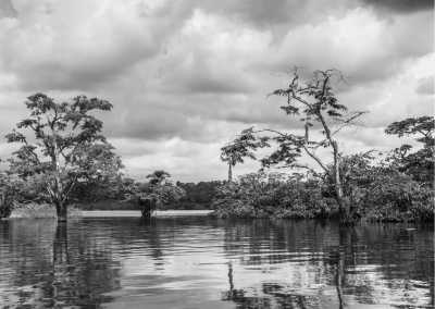 Ecuador - Cuyabeno - Ecuadorian Andes and Amazon Expedition: 13-Day Nature and Culture Journey