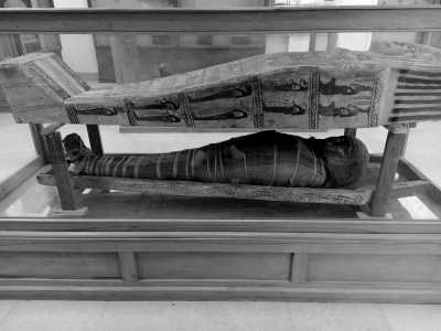 Egypt - متحف كوم أوشيم Kom Aushim Museum - Fayoum, Egypt: Immerse Yourself in Nature for a Memorable Getaway - 2