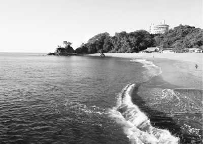 India - Kochi - Authentic Kerala Experience: Unveiling the Beauty of God's Own Country, India - 1