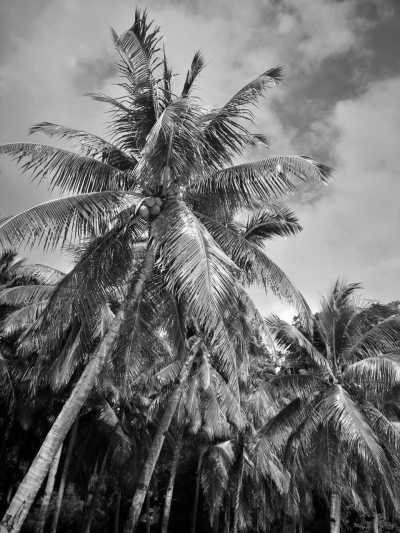 Philippines - Puerto Princesa - El Nido: Beaches, Island Hopping, Snorkeling, Surfing & UNESCO sites | All in the Philippines - 2