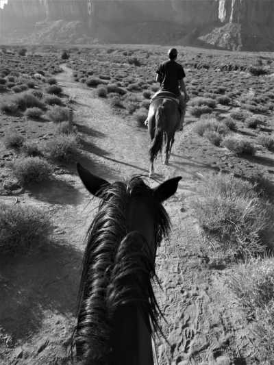 United States - Desert National Wildlife Range - ⭐️🇺🇸 The American Dream: Explore the West Coast during New Year 🇺🇸⭐️ - 1