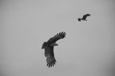 Malaysia - Kuala Selangor - Awesome Co-Working Trip in Kuala Lumpur, Malaysia with a local and travel photographer - 6