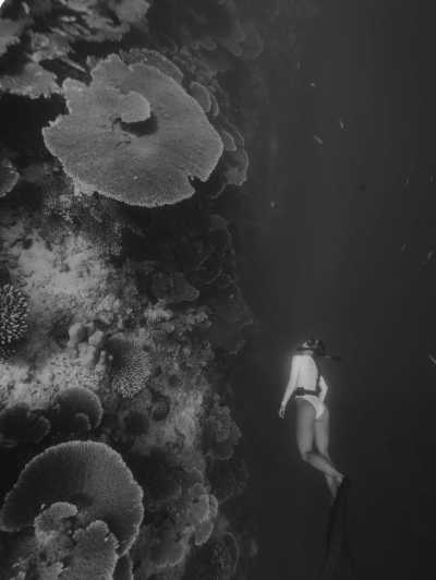 Malediven - Maafushi - 10 Days Maldivian Adventure Awaits! - 3