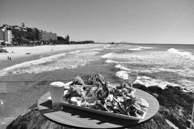 Australia - Currumbin Beach Vikings Surf Life Saving Club - Gold Coast Getaway, Australia - Strictly for Adventurers/Thrill Seekers - City, Forest and Sea 🌃ִ🏄‍♂️🌴🌞 ✨