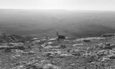 Israel - Mitzpe Ramon - A Taste of Israel - Explore with a Local - 2