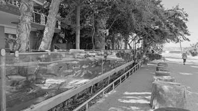 Turkey - Wall aquariums Home - Travel like a local in Çeşme and Alaçatı, Turkey