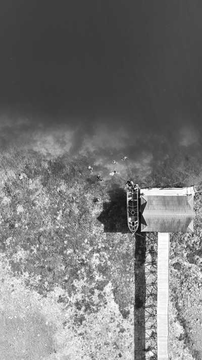 Indonesia - Maratua Island - Discover Derawan Island: Borneo's Tropical Paradise in Indonesia 🌴🌊 - Your Ultimate Escape to Pristine Beaches, Crystal-clear Waters, and Exotic Marine Life! - 1