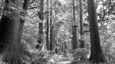 Japan - Hakone - Unwinding in Hakone, Japan: A 3 Day Escape to Nature's Paradise - 6