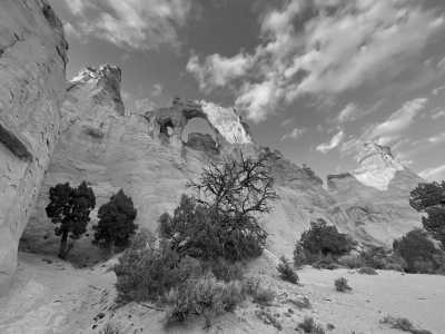 United States - Escalante - Hiking the Southwest of the USA - 1