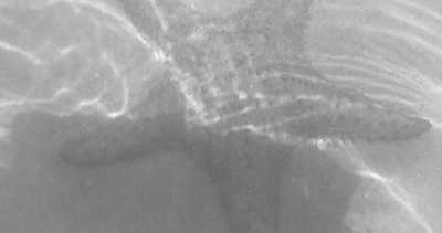 Mexiko - San Miguel de Cozumel - 41+ |Tacos, Tequila, Playa & more... Discover Yucatán / Ages: 41+ Mexico