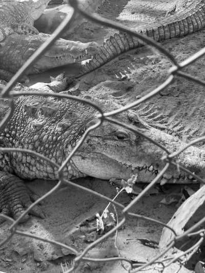 Mexico - Parque Nacional Lagunas de Chacahua - Full of Positive Energy in Mexico City, Tepoztlan, Oaxaca Beach (Chacahua-Zipolite) - 3