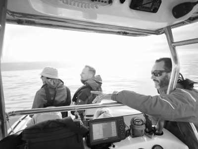 Südafrika - Cape Town - 🌞Ultimate 10-Day South Africa Road Trip🇿🇦Cape Town & The Garden Route – 🌊Adventure, Nature & Epic Vibes! - 18