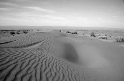 Morocco - Erg Chegaga Morocco - Marokko, algerische Grenze - Am Oued Draa entlang Richtung Atlantik als Beifahrer in einem Service Truck!