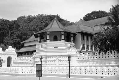 Sri Lanka - Kandy - 🌟 Magical Sri Lanka: From Ancient kingdoms to Dream Beaches 🐘🏞️🌺⛱️ - 2