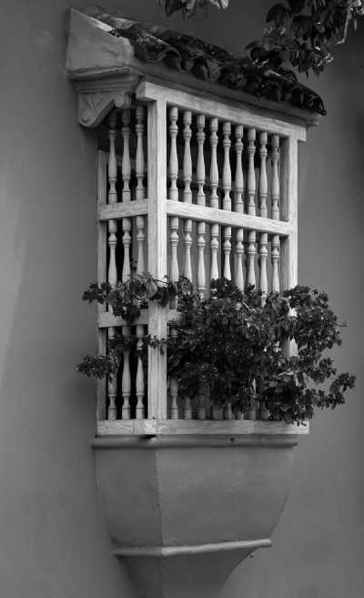 Kolumbien - Cartagena - 1 LAST SPOT LEFT‼️Colombia III EDITION 360º Experience in this amazing Country. INCLUDED: Tons of Local and Gastronomic Adventures with an Experienced TripLeader! - 4