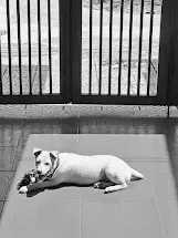 Vietnam - Da Nang - Half Day Cricket and Explore Da Nang City, Vietnam - 3