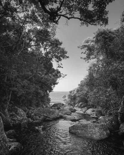 Brazil - Ilhabela - Samba Soul Retreat: 7 Days of Heart-Opening Bliss in Brazil - 5