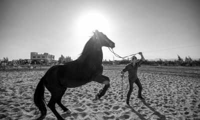 Marokko - BIO ET BOIS - Discover the Hidden Gems of Fez: A Journey Through Morocco's Cultural Capital - 6