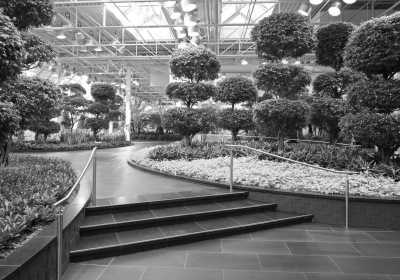 Canada - Devonian Gardens - Exploring Calgary, Canada Art and Luxury - 5