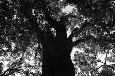 South Africa - Wilderness - Cape Town and the Garden Route 🇿🇦 Explore South Africa with a Local - 4