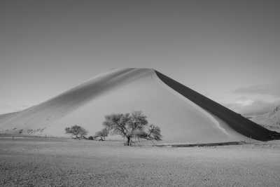 Namibia - Sossusvlei - Embark on an Unforgettable Namibian Odyssey: A Journey Through Dunes, Deserts, and Wildlife - 4