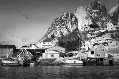 Norway - Reine - Road Trip to Lofoten - Scenic Drives, Views and Hikes - Norway - 3
