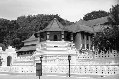 Sri Lanka - Kandy - 🌟 Magical Sri Lanka: From Ancient kingdoms to Dream Beaches 🐘🏞️🌺⛱️ - 3