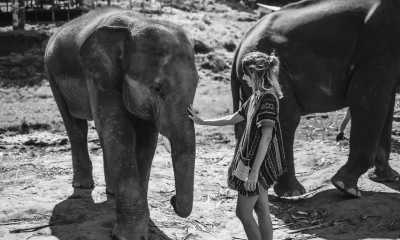 Thailand - Lanta Elephant Sanctuary - Rare‼️ Epic Thailand 15-Days Explorer😍🔥: Helicopter Tour✈️, Zip Line Fun, Elephant Adventures and many more! ❣️🎉