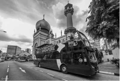 Singapore - Big Bus Tours Singapore - 𝗠𝗮𝗷𝗲𝘀𝘁𝗶𝗰 𝗦𝗶𝗻𝗴𝗮𝗽𝗼𝗿𝗲: 𝗔𝗻 𝗨𝗻𝗳𝗼𝗿𝗴𝗲𝘁𝘁𝗮𝗯𝗹𝗲 𝗝𝗼𝘂𝗿𝗻𝗲𝘆 𝗧𝗵𝗿𝗼𝘂𝗴𝗵 𝘁𝗵𝗲 𝗚𝗮𝗿𝗱𝗲𝗻 𝗖𝗶𝘁𝘆 🇸🇬⛲️🏝