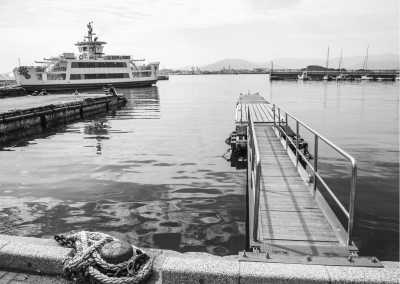 Japan - Experience Karatsu Kunchi Floats Festival and Autumn Cosmos Flowers Overlooking the Ocean in Japan - JoinMyTrip