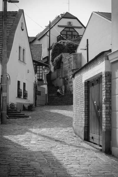 Hungary - Szentendre - Rural Roadtrip - Winter Hungary - Culture, Nature, Wildlife - Christmas - 1