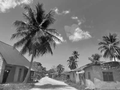 Tanzania - Makunduchi - Zanzibar Coworking Experience: Your Journey Starts Here - 2