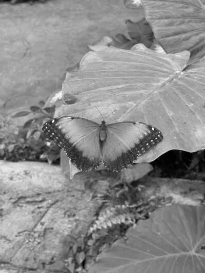 Spanien - Benalmádena - Finding your true self through travelling, yoga and meeting like-minded souls in beautiful and always sunny Mijas Costa, Spain - 5