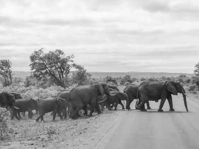 Südliches Afrika - Kruger National Park - Mystery South Africa Adventure and Culture Camping Trip - 6