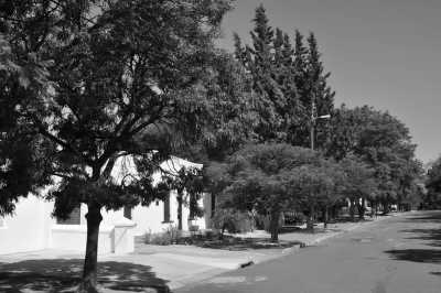 South Africa - Stellenbosch - Last Minute am Kap: Das Kap, der Wein, gutes Essen und der Rooibos - 3