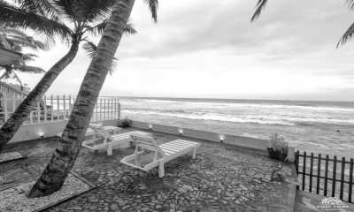 Sri Lanka - Kandy - Rainforest & Wildlife Adventure, and a Trip to Remember - Sri Lanka - 4