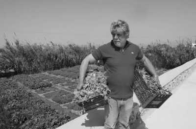 Greece - Nikolas Tavern Mykonos - Seafood Restaurant - Mykonos 5 days incl. Hotel, Party, Transfer - The party island of Greece! - 5