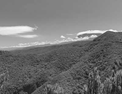 Spain - Buenavista del Norte - 🏄🏽‍♂️  Surf I Hike & Beach - Come to Canarias and escape winter! 🌴☀️🧘🏼‍♂️ - 3