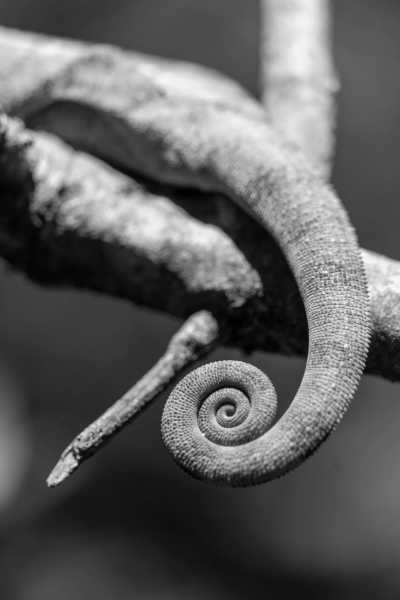 Madagaskar - Bekopaka - Madagaskar Roadtrip - Auf Entdeckungstour durch die wilde Schönheit der Insel