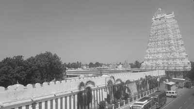 India - Tiruchirappalli - Ancient South India: Experience the Exotic Ancient Temples and Enticing Hills of Tamilnadu - 23