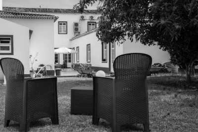 Portugal - Ponta Delgada - Visit the Evergreen Azores 🦋: Waterfall Hunt, Hot Springs, Volcanic Crater Lakes, Whale Watching Tour 🪸 - 3