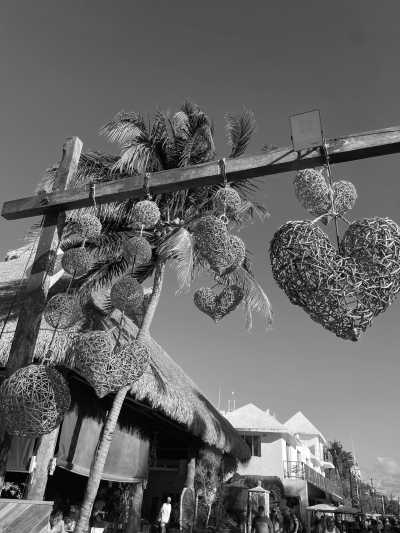 Mexiko - Isla Holbox - Tacos, Tequila and Turtles - Yucatan, Mexico