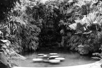 Italy - Giardini la Mortella - Enjoy the Beautiful Spas of Ischia island, Italy - 1