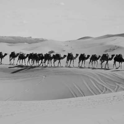 Marokko - Merzouga - Travel to Morocco -  explore Marrakech, Berber villages, dunes, local Moroccan cuisine and more - 4